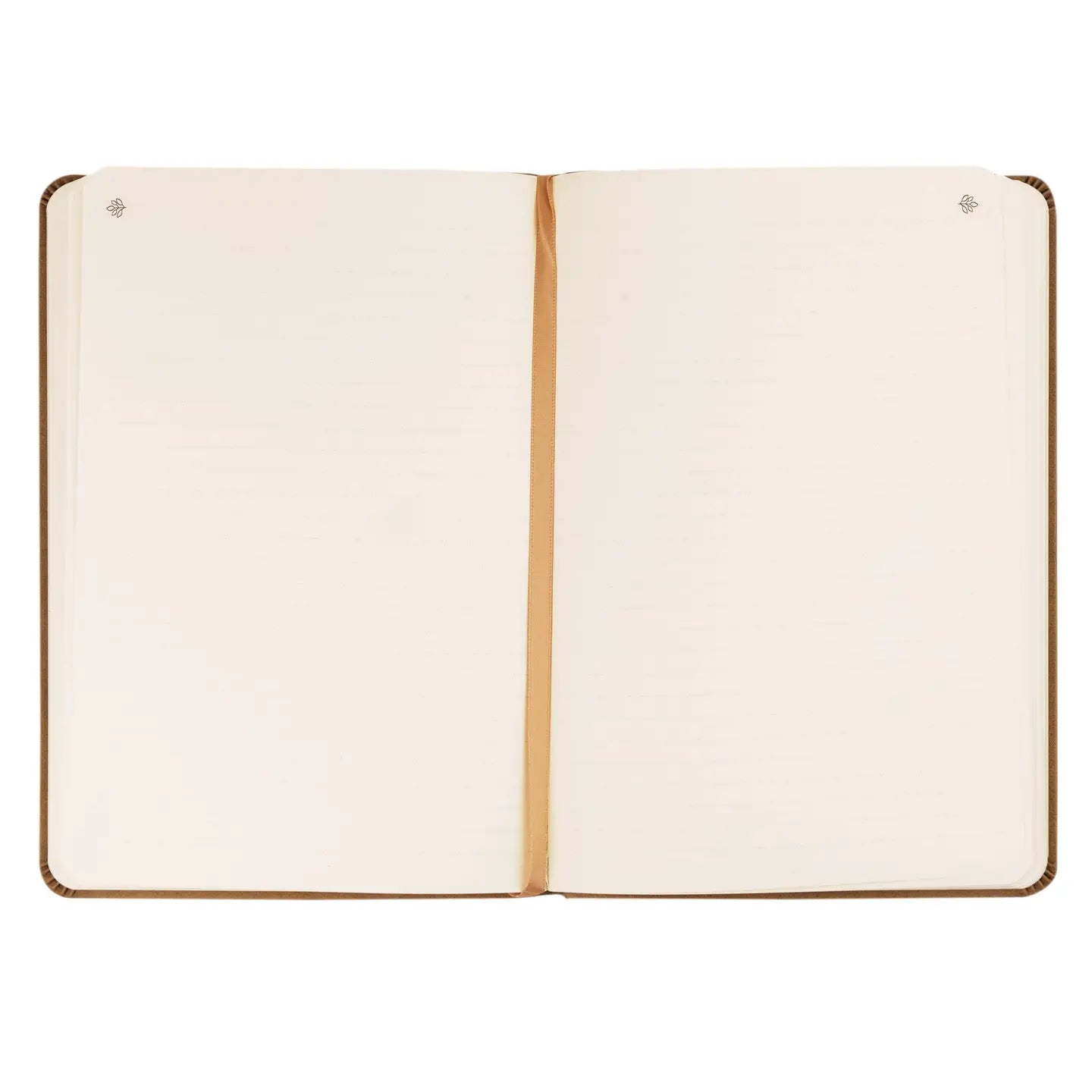 Notebook: Galilee Theme