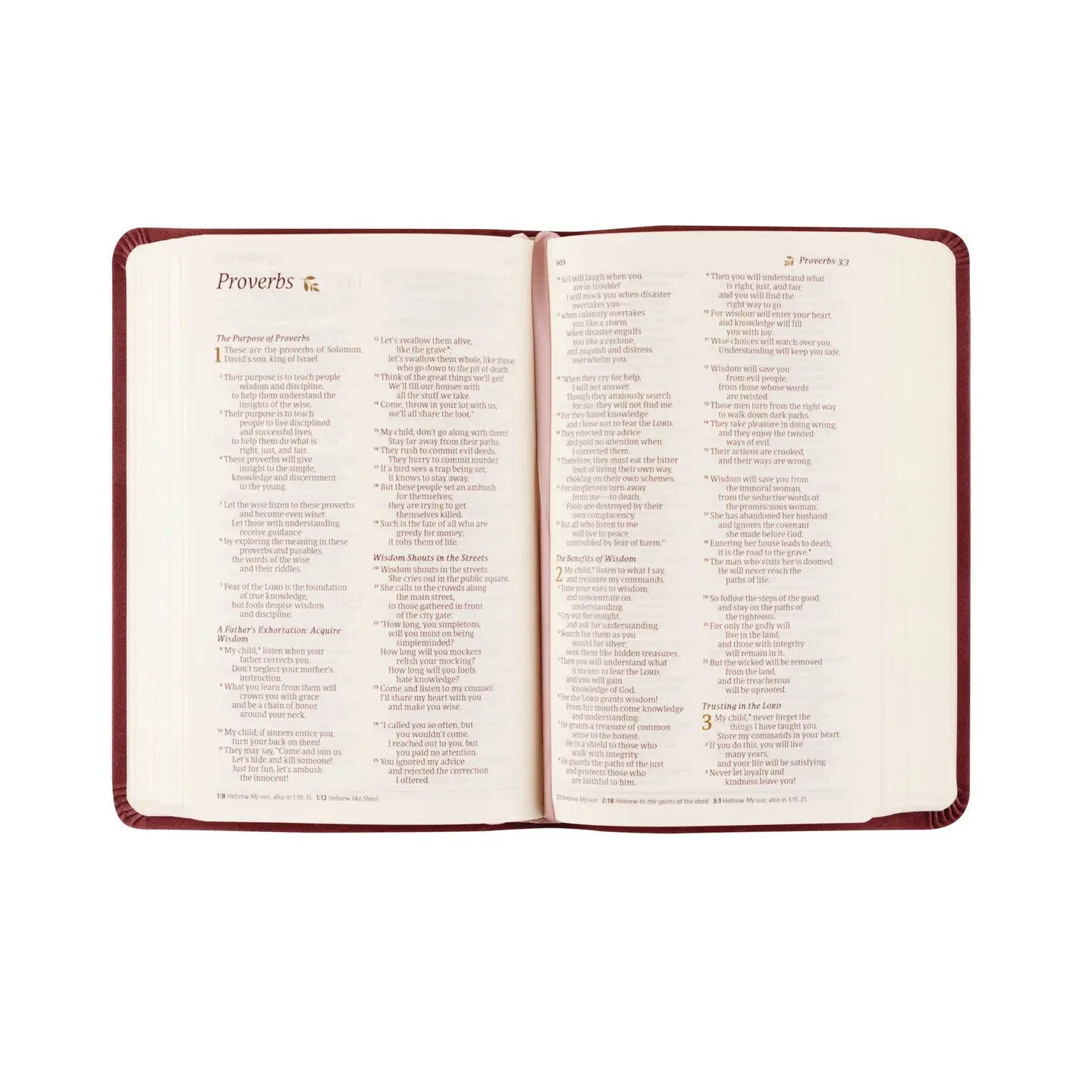 Nlt Compact Bible: Helena Theme