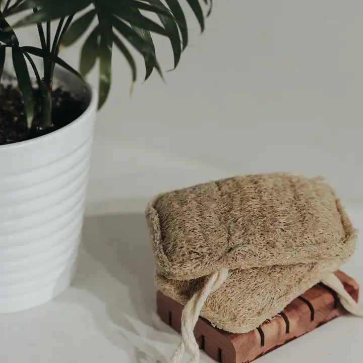 3 Pack Natural Loofah Sponge | Doubled Layered | Plant-Based