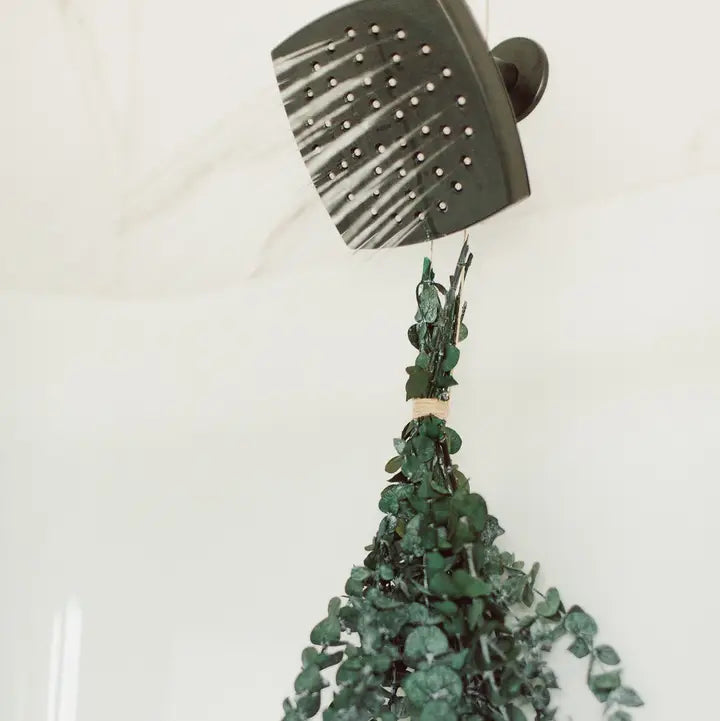 Large Eucalyptus Shower Bundle