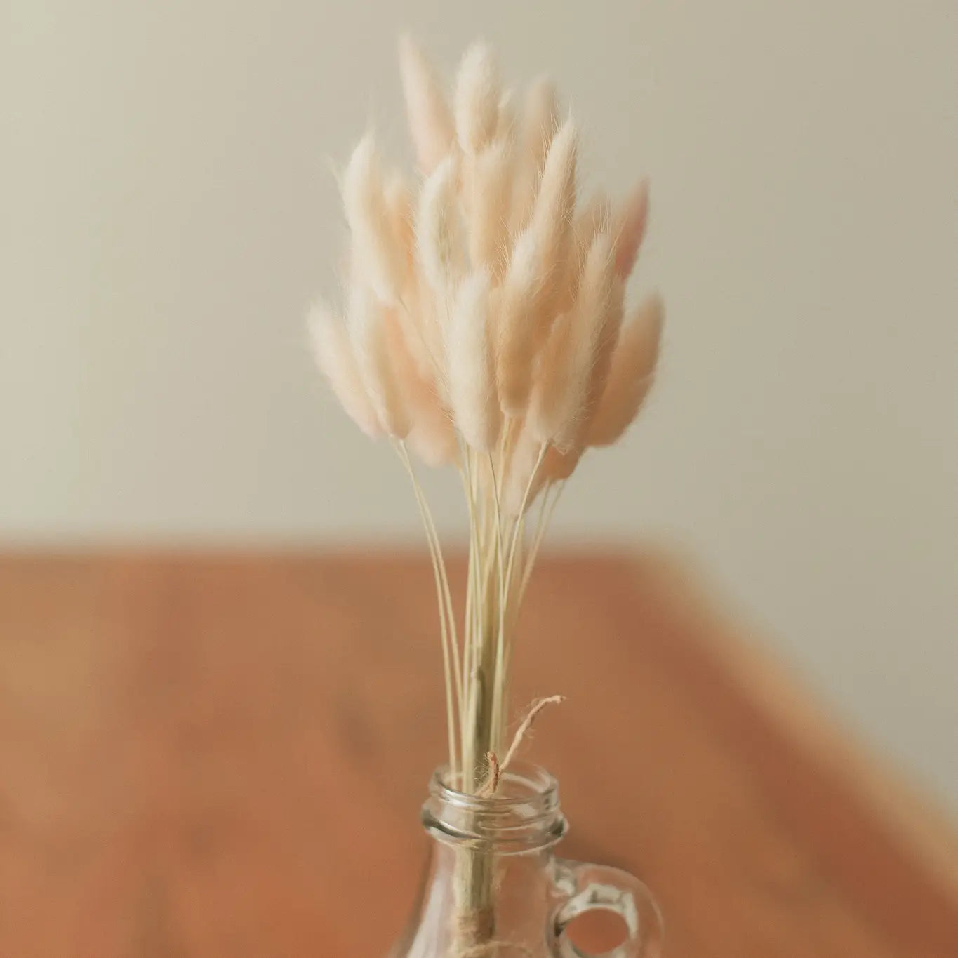 Bunny Tails Dried Decor