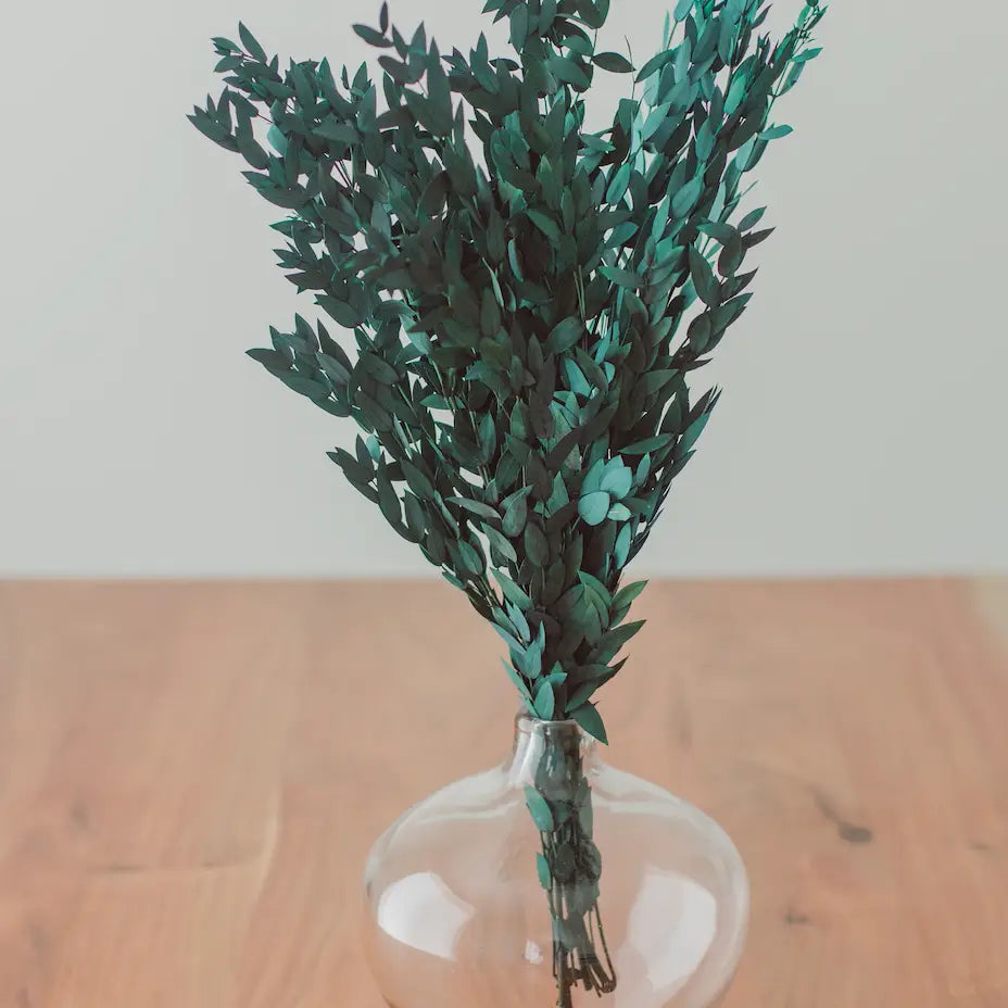 Short Willow Eucalyptus
