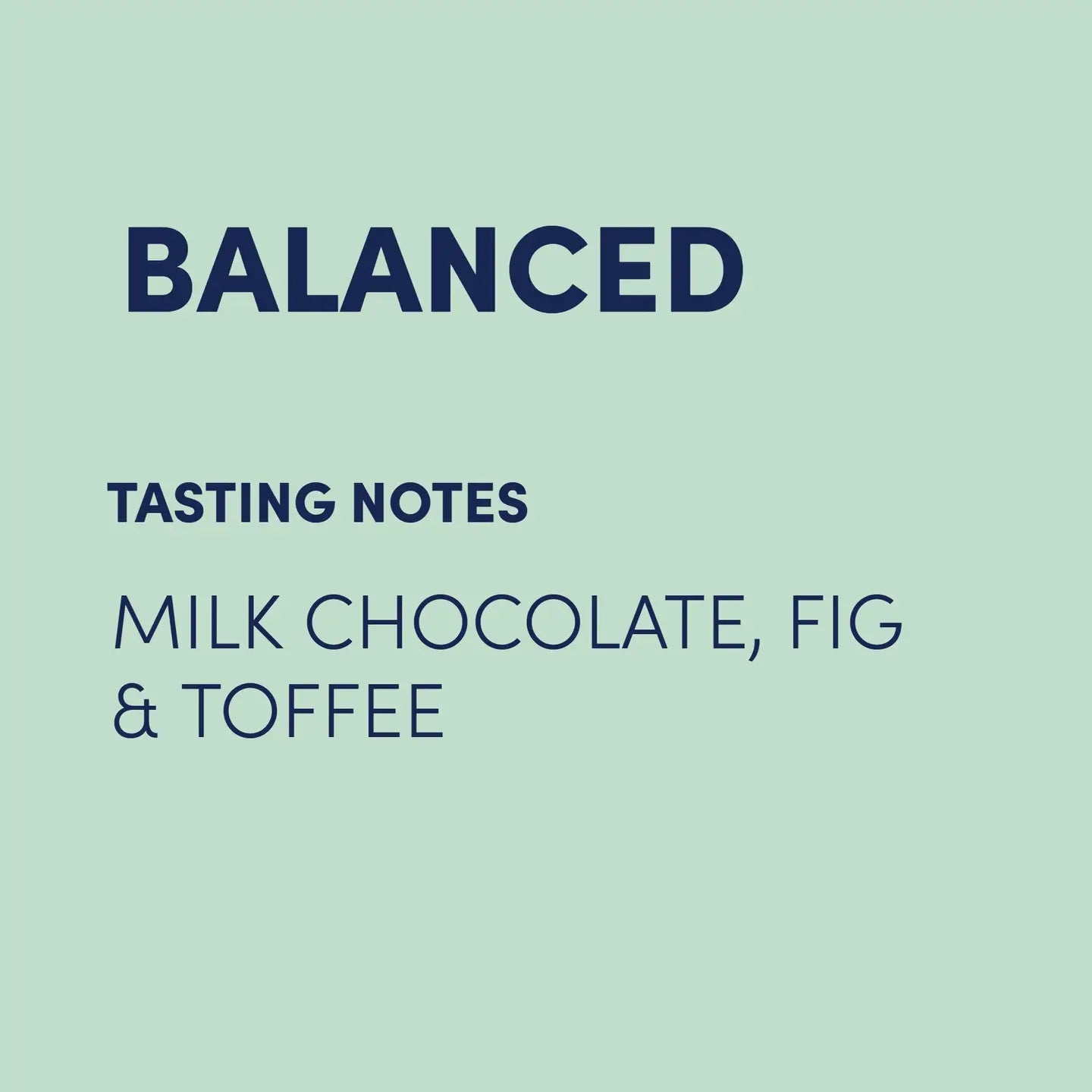 Elevate Blend Coffee