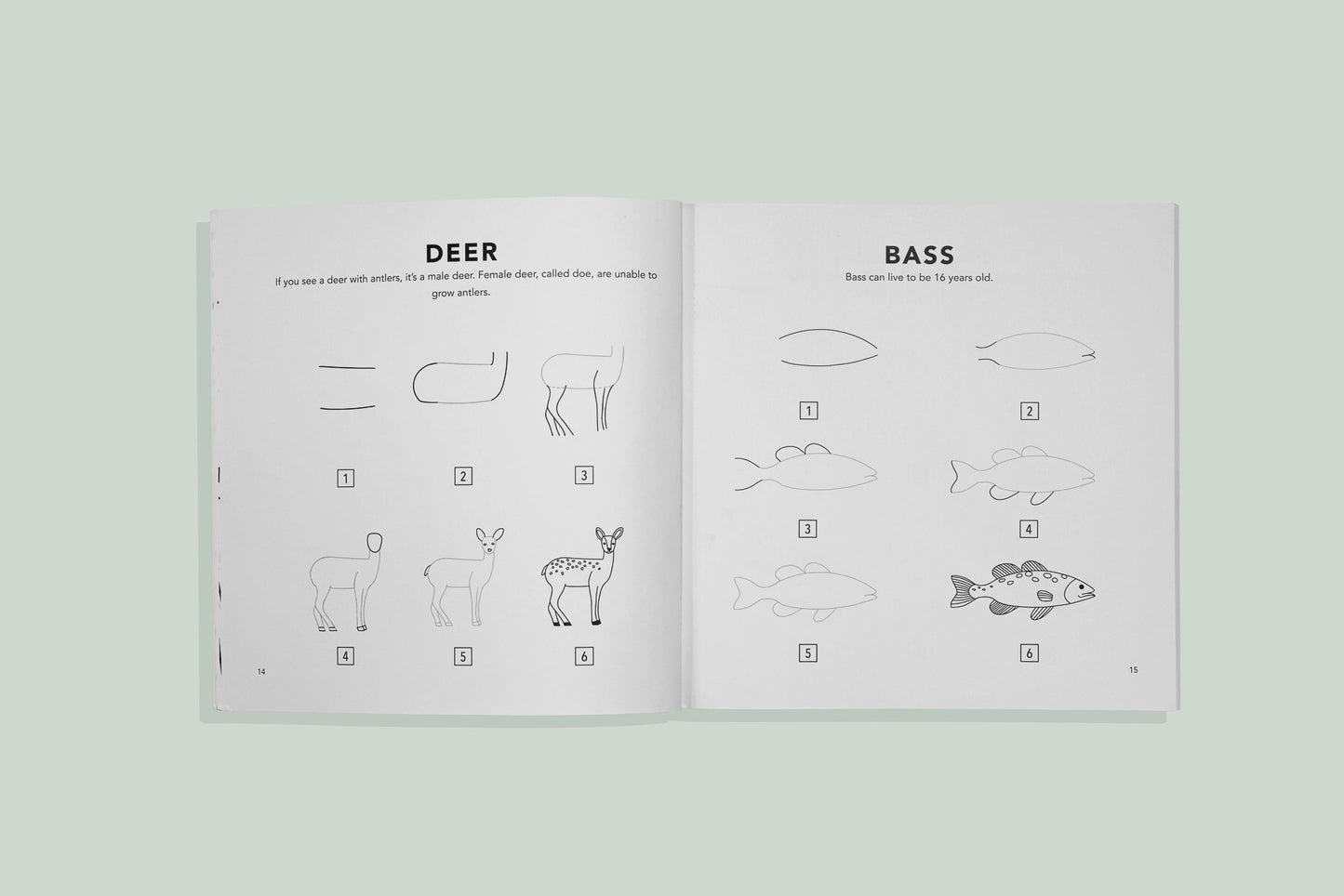 Mushrooms & Woodland Creatures: Kids How To Draw Book