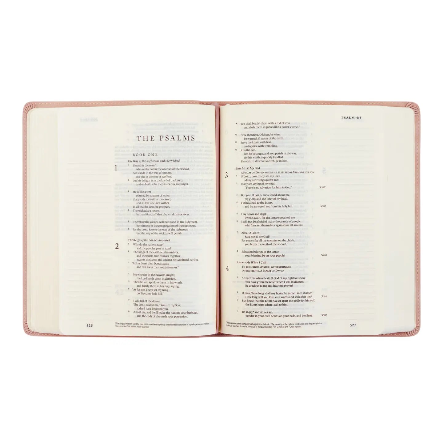 Esv Journaling Bible : Shiloh Theme