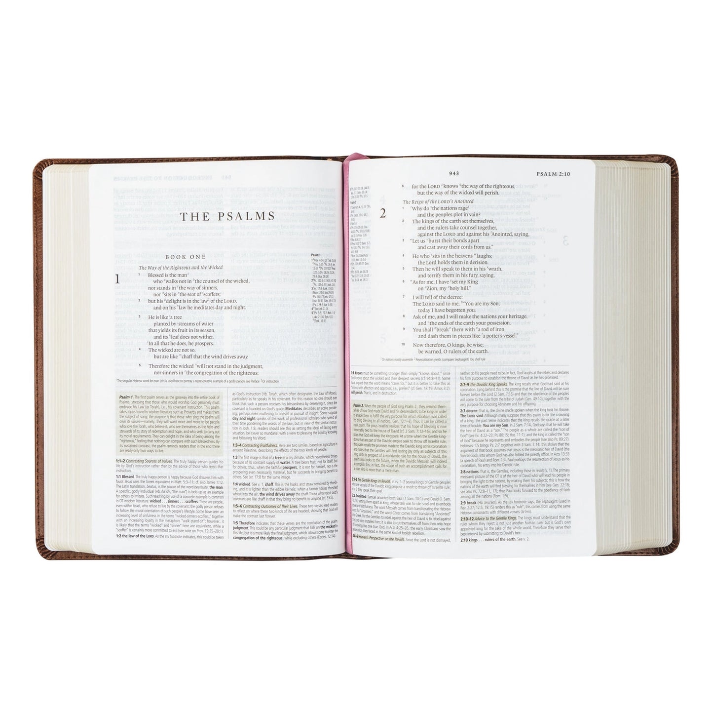 Esv Study Bible: Aurora Theme