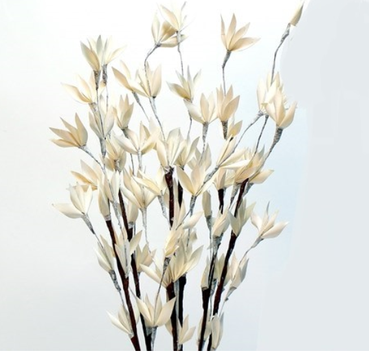 Palm Peacock Flowers