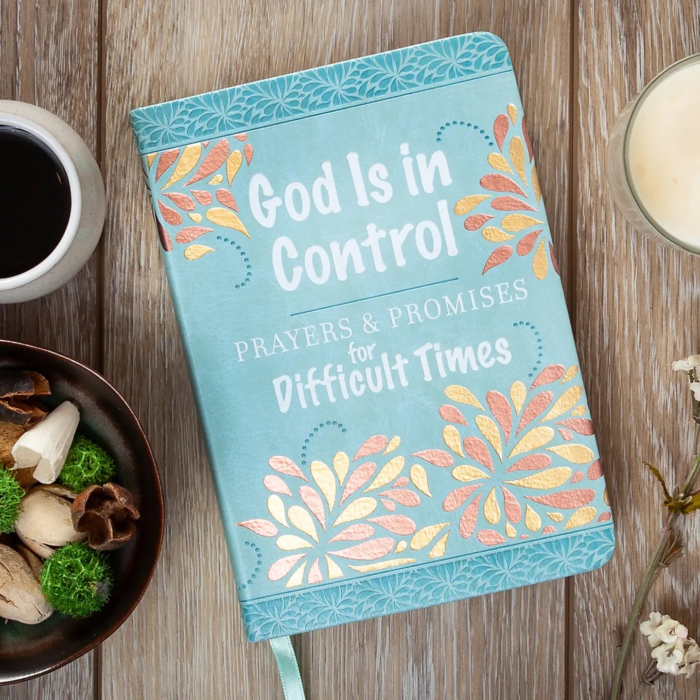 God Is in Control (Prayer Devotional)