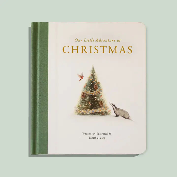 Our Little Adventure At Christmas (Baby's First Christmas)