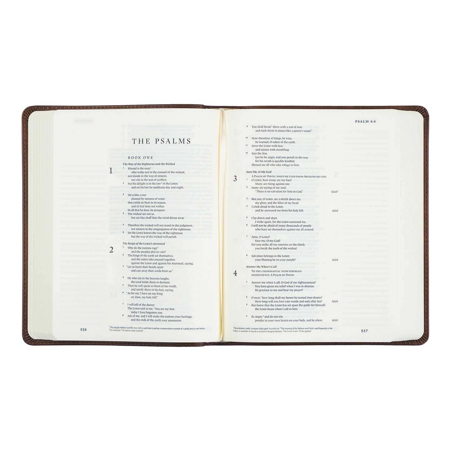 Esv Journaling Bible: Westminster Theme
