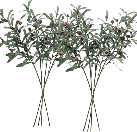 Olive Branch Bundle 3 Stems