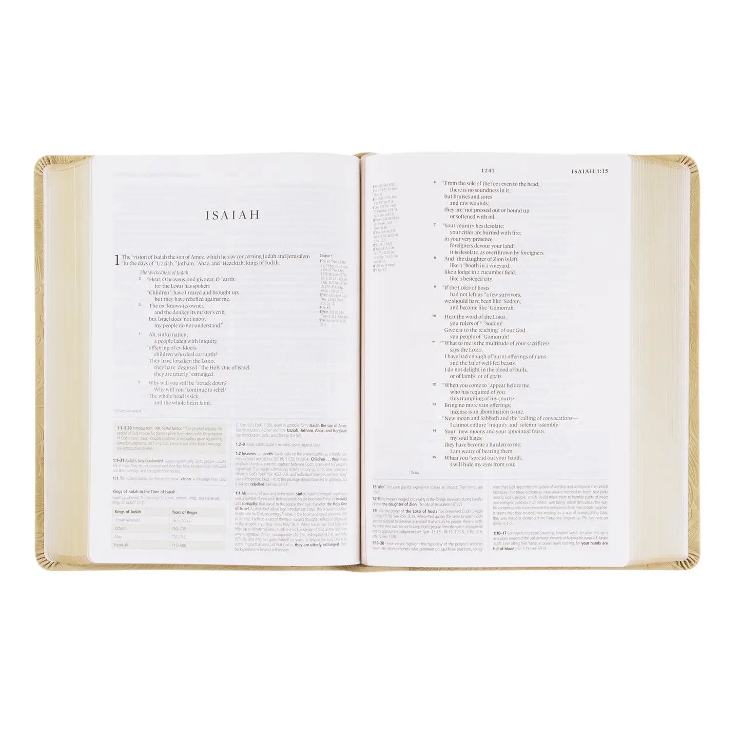 Esv Study Bible: Sonora Theme