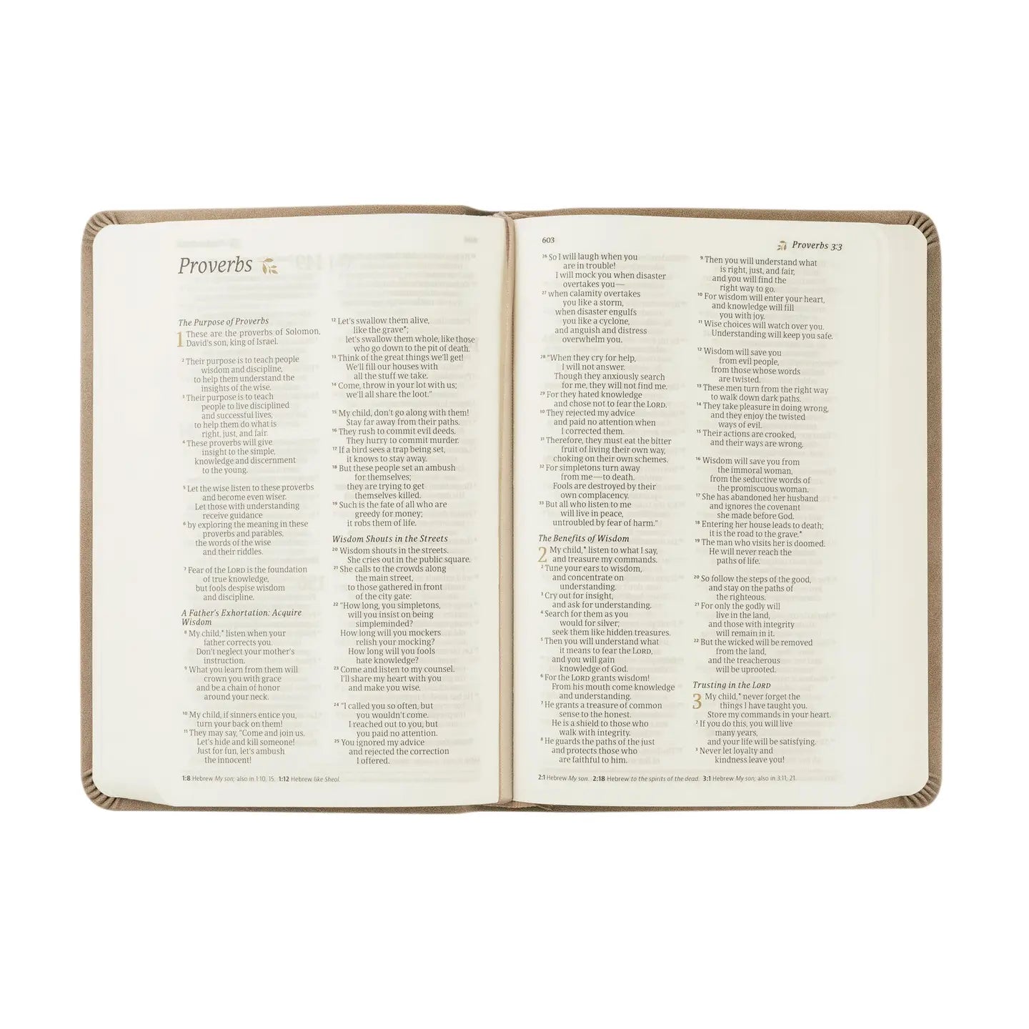 Nlt Compact Bible: Marlo Theme