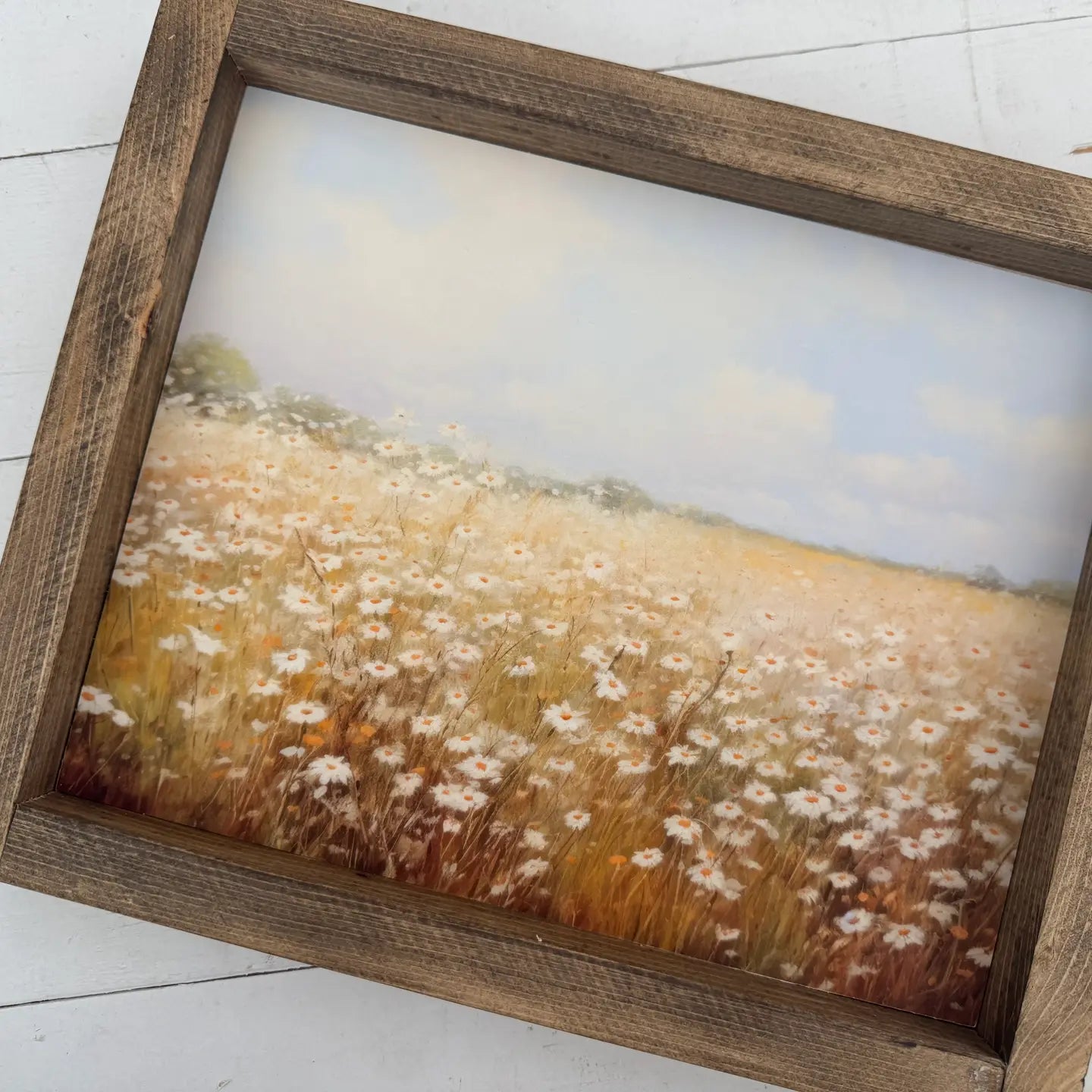 Daisy Field 2
