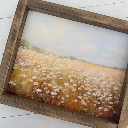 Daisy Field 2
