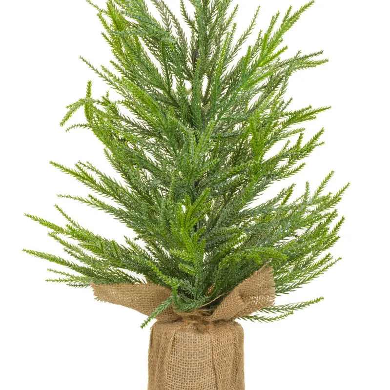 Frosted Norway Spruce Table Top Tree w/ Cement Base