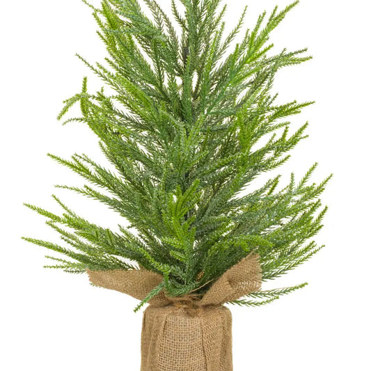 Frosted Norway Spruce Table Top Tree w/ Cement Base