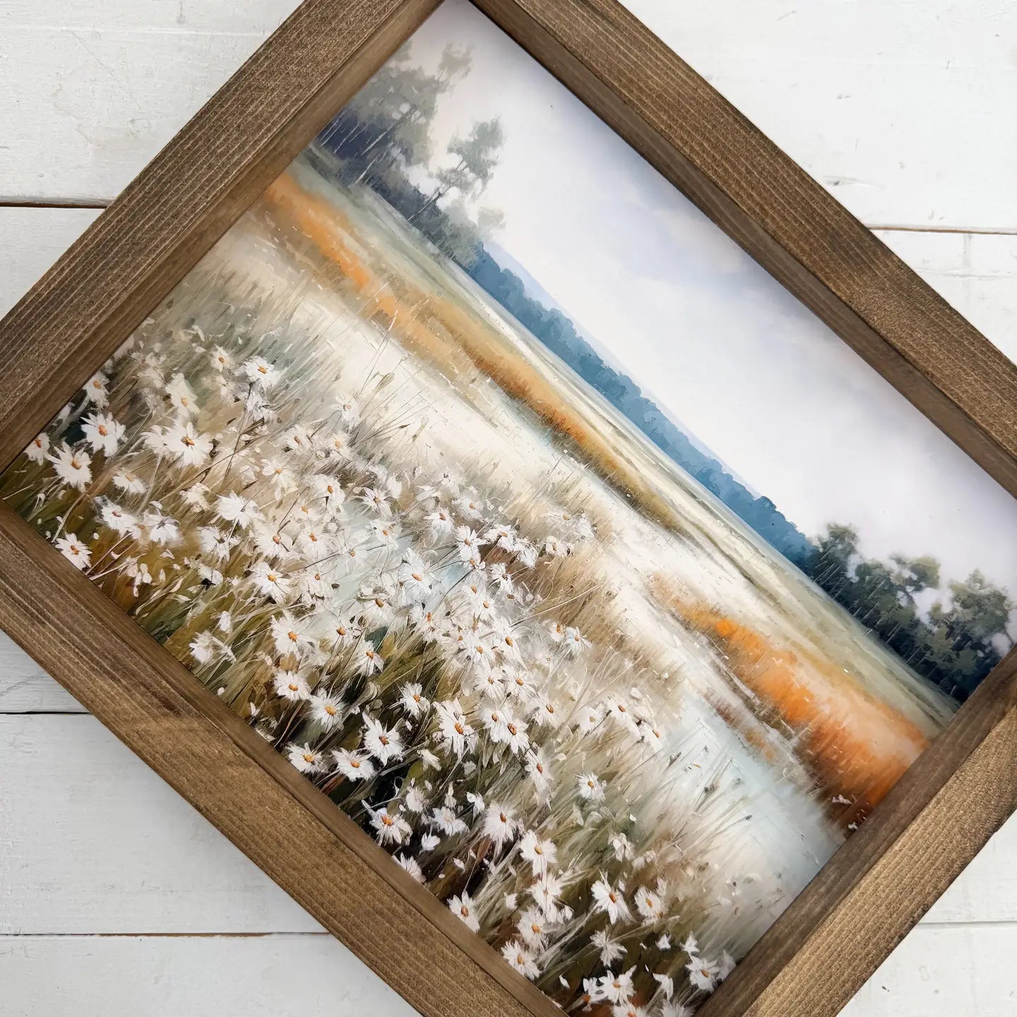 Daisy Meadow