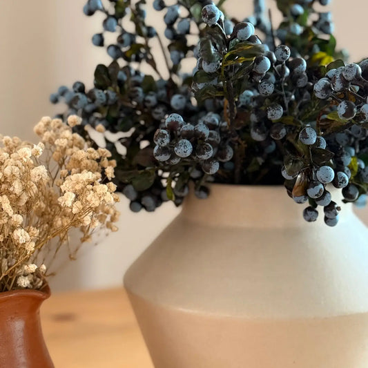 Blue JuniperBerry Stem