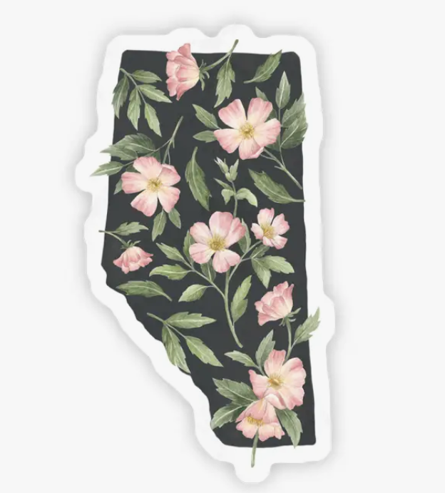 Alberta Wild Rose Sticker
