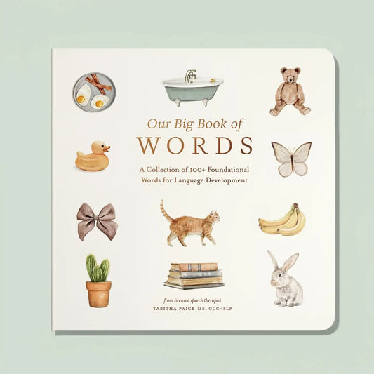 Our Big Book of First Words