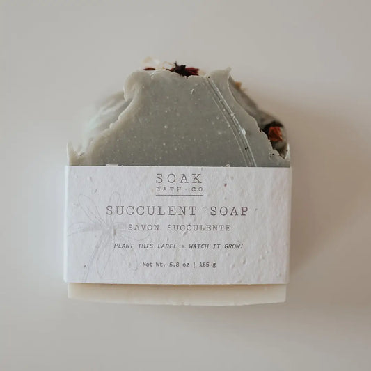 Succulent Bath Soap