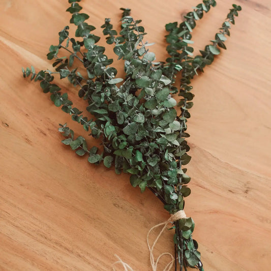 Large Eucalyptus Shower Bundle