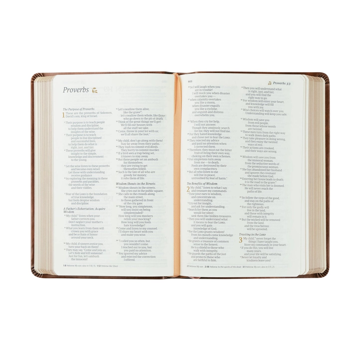 Nlt Compact Bible: Aurora Theme