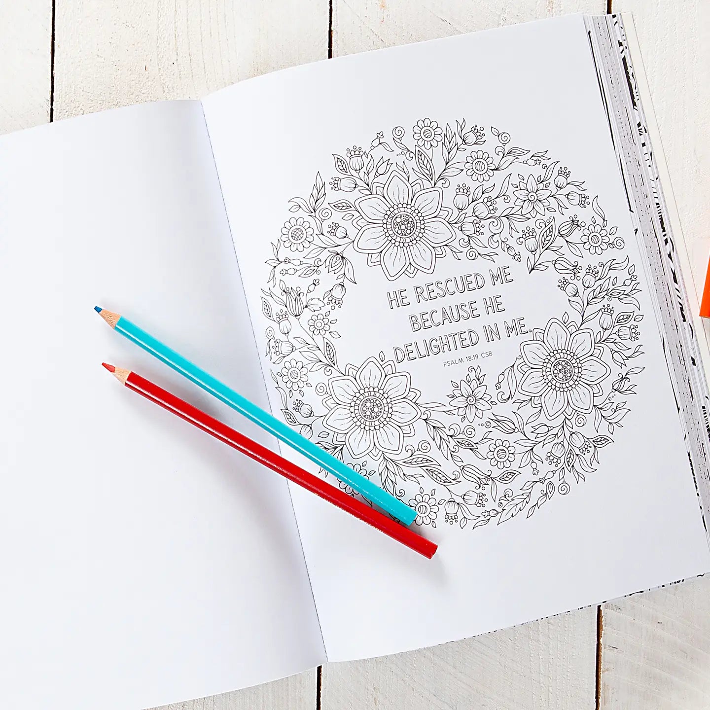 Bible Promises For You (Coloring Book)