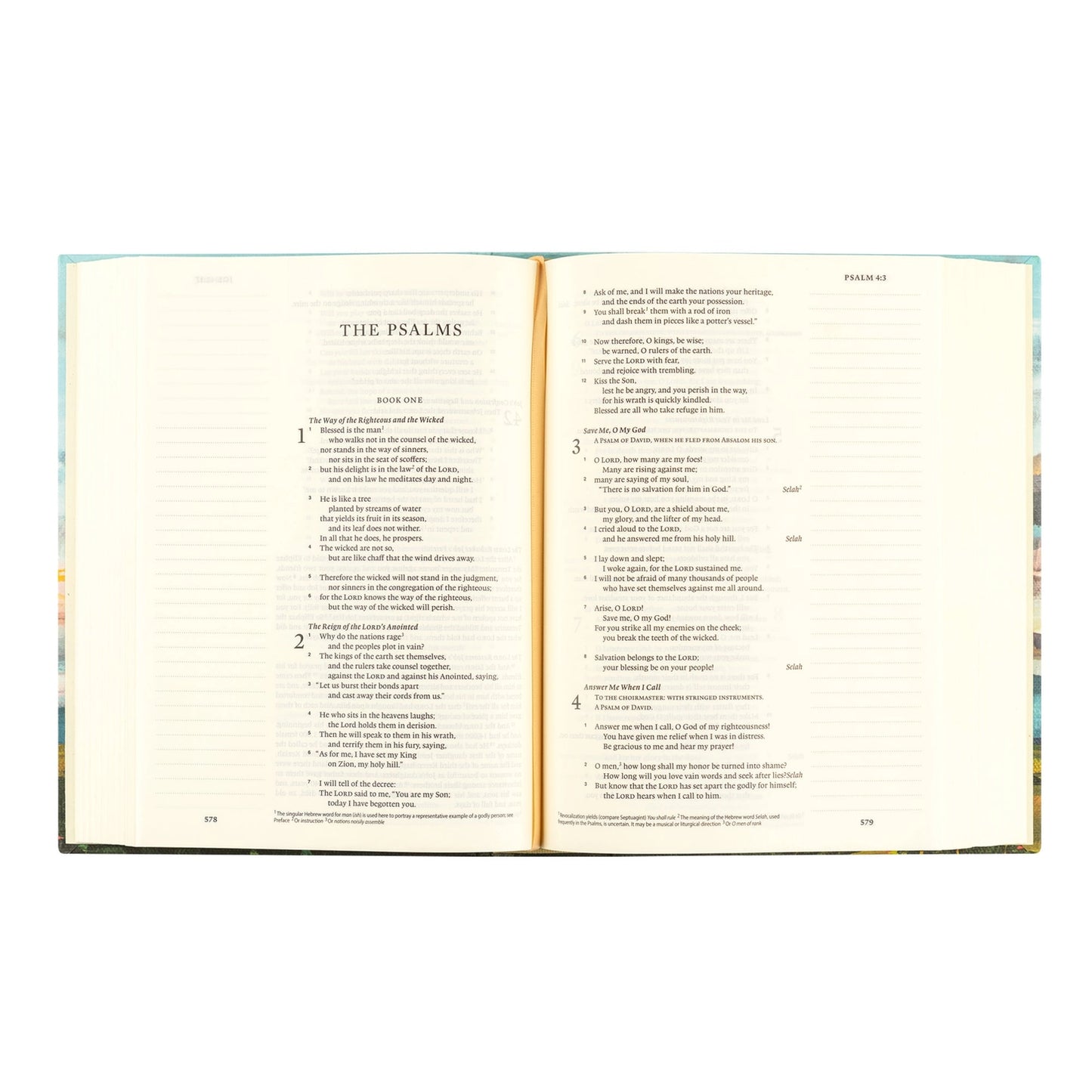 Esv Journaling Bible: Santa Lucia Theme