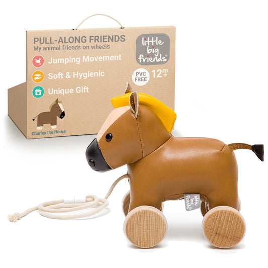 Pull Along Horse Toy