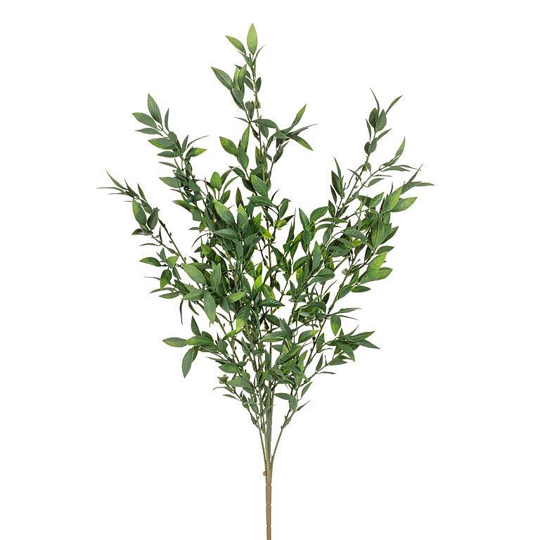 Long Leafy Green Stems