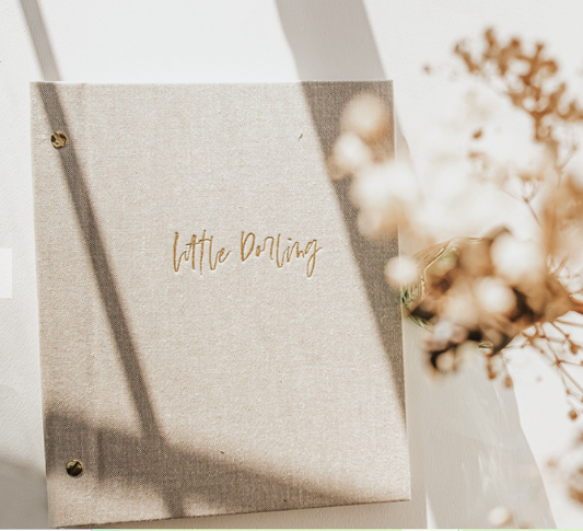 Little Darling Modern Baby Book