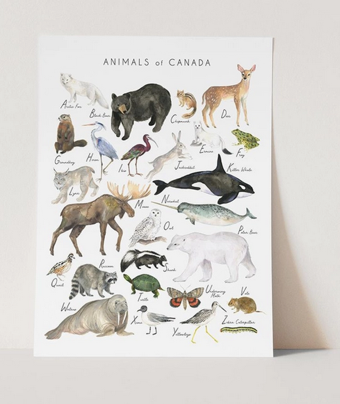 Animals of Canada Art Print